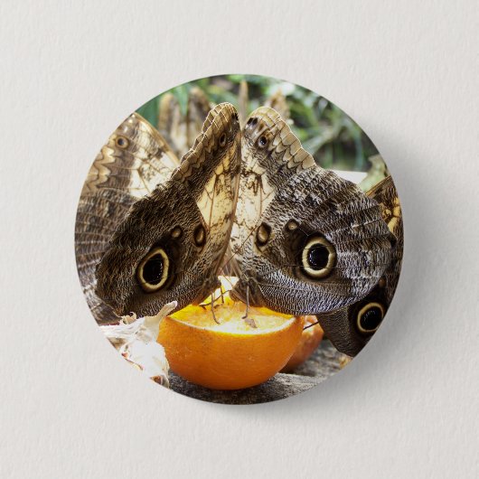 BUTTERFLIES RONDE BUTTON 5,7 CM (Voorkant)