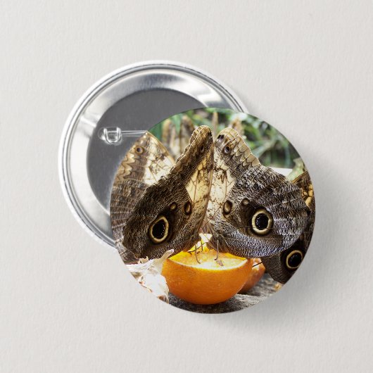 BUTTERFLIES RONDE BUTTON 5,7 CM (Voorkant /achterkant)