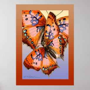 Butterflies rood blauw abstract schilderij poster