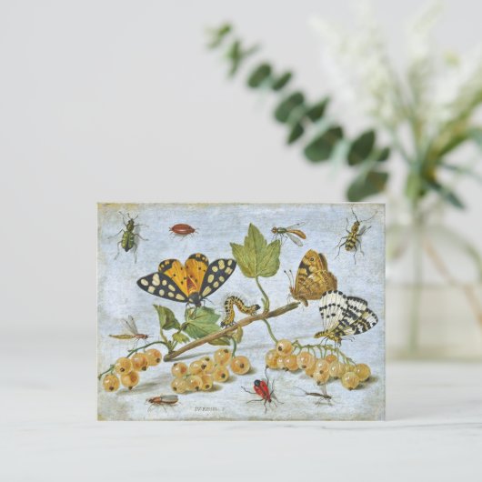 Butterflies, rupsband en vruchten briefkaart (Staand voorkant)