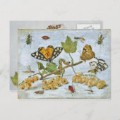 Butterflies, rupsband en vruchten briefkaart (Voorkant / Achterkant)