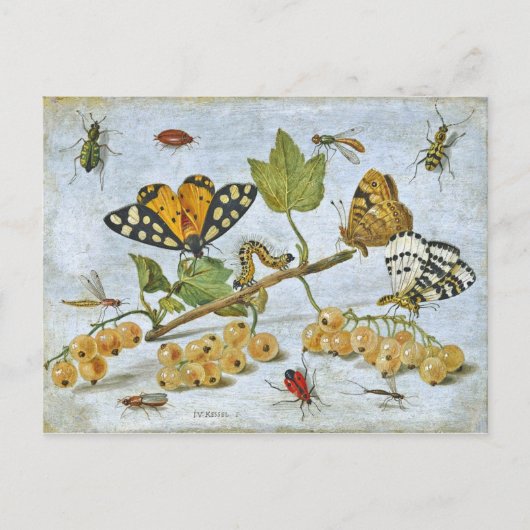 Butterflies, rupsband en vruchten briefkaart (Voorkant)