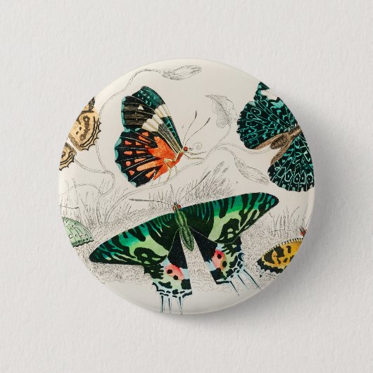 Butterflies snijdt bugs ronde button 5,7 cm (Voorkant)