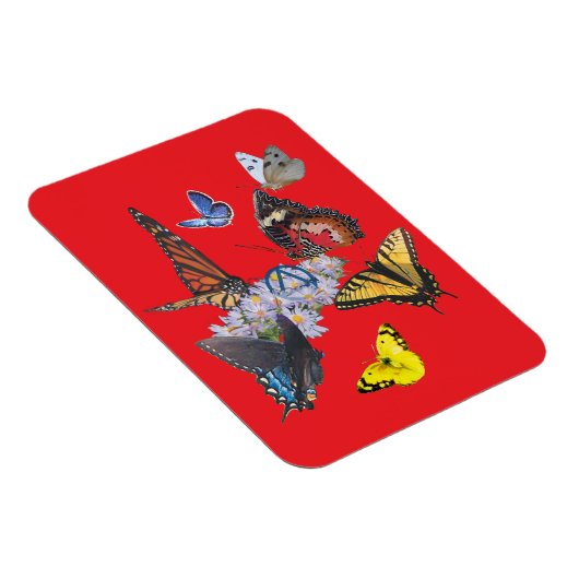 butterflies sobriety symbol rectangle magnet magneet (Rechterzijde)