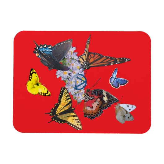 butterflies sobriety symbol rectangle magnet magneet (Horizontaal)