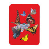 butterflies sobriety symbol rectangle magnet magneet (Verticaal)