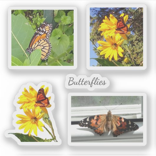 Butterflies Sticker (Voorkant)