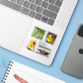 Butterflies Sticker (Laptop met iPhone)
