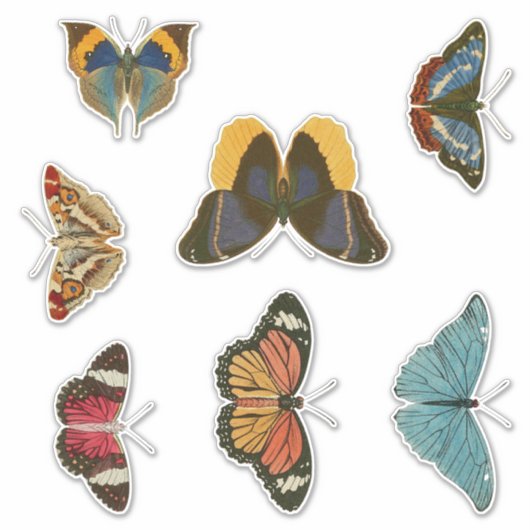  Butterflies Sticker Set (Voorkant)