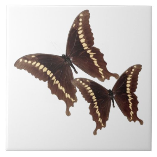 Butterflies Tegel Tegeltje (Voorkant)