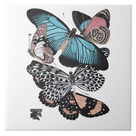 Butterflies Tegeltje (Voorkant)