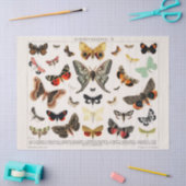 Butterflies Tissue of Decoupage paper Tissuepapier (Craft)