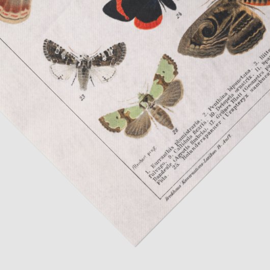  Butterflies Tissue of Decoupage paper Tissuepapier (Detail)