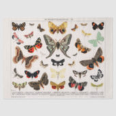  Butterflies Tissue of Decoupage paper Tissuepapier (Voorkant)