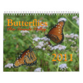 Butterflies van de Rio Grande Valley Kalender (Hoes)