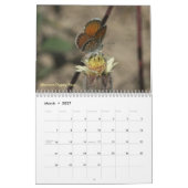 Butterflies van de Rio Grande Valley Kalender (Mar 2027)