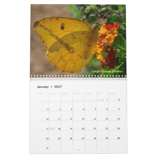 Butterflies van de Rio Grande Valley Kalender (Jan 2027)