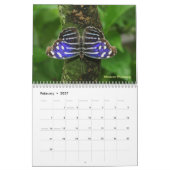 Butterflies van de Rio Grande Valley Kalender (Feb 2027)