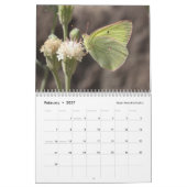 Butterflies van de Sierra and Cascades Kalender (Feb 2027)
