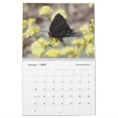Butterflies van de Sierra and Cascades Kalender (Jan 2027)
