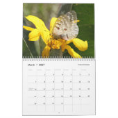Butterflies van de Sierra and Cascades Kalender (Mar 2027)