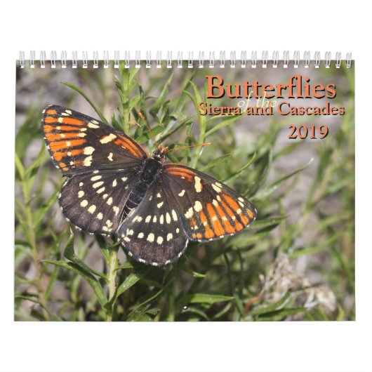 Butterflies van de Sierra and Cascades Kalender (Hoes)