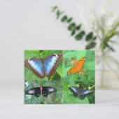 Butterflies van de wereld briefkaart (Staand voorkant)
