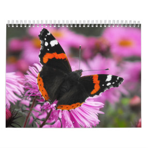 Butterflies van de World 2020-kalender Kalender