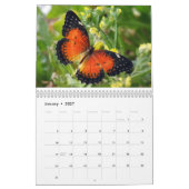 Butterflies van de World 2020-kalender Kalender (Jan 2027)