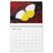 Butterflies van de World 2020-kalender Kalender (Feb 2027)