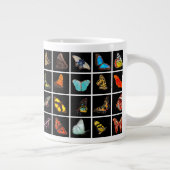 Butterflies van over de hele wereld grote koffiekop (Rechts)