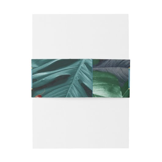 Butterflies van Paradise/Tropische Turquoise Splas Uitnodigingen Wikkel (Achterkant Voorbeeld)