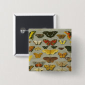 Butterflies Vierkante Button 5,1 Cm (Voorkant /achterkant)
