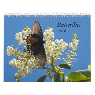 Butterflies voor 2016 kalender