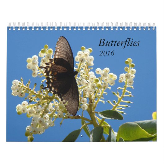 Butterflies voor 2016 kalender (Hoes)