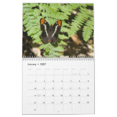 Butterflies voor 2016 kalender (Jan 2027)