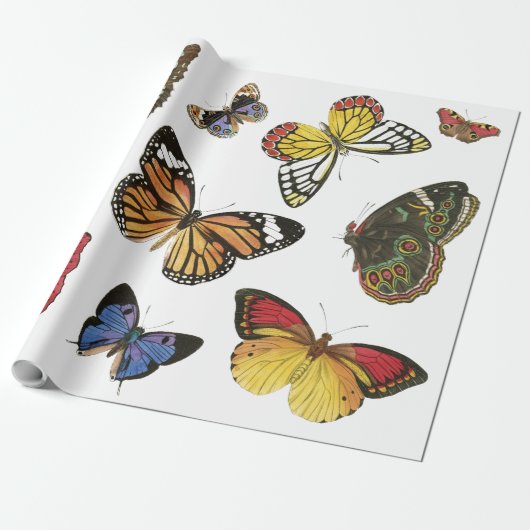 Butterflies Wrappapier Cadeaupapier (Uitgerold)