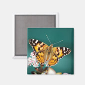 Butterflies zijn vrij magneet (Voorkant / Achterkant)