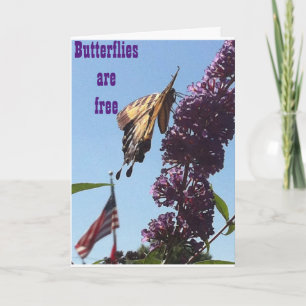 BUTTERFLIES ZIJN VRIJ/OP UW GRONDDAG EN ZIJN U OOK KAART