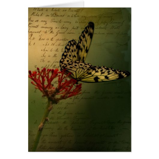 Butterfly (Voorkant)