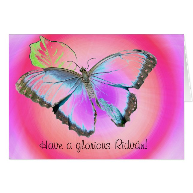 Butterfly3 (Voorkant Horizontaal)