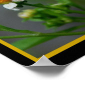 Butterfly302 Poster (Hoek)