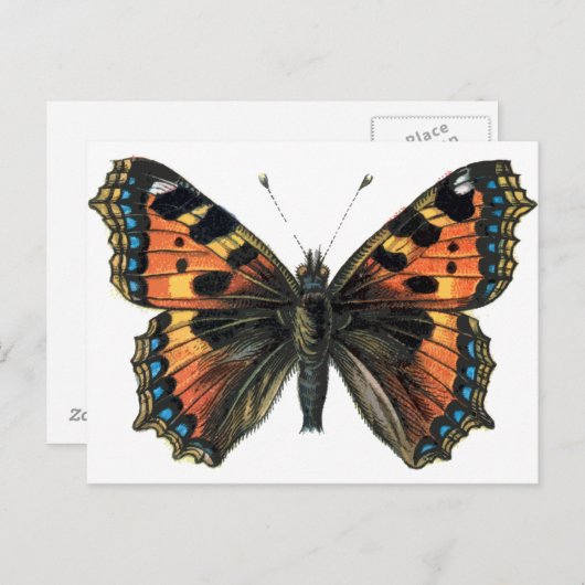 Butterfly 01 briefkaart (Voorkant / Achterkant)