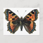 Butterfly 01 briefkaart (Voorkant)