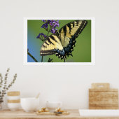 Butterfly 1 poster (Keuken)
