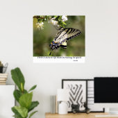 Butterfly 1 poster (Thuiskantoor)