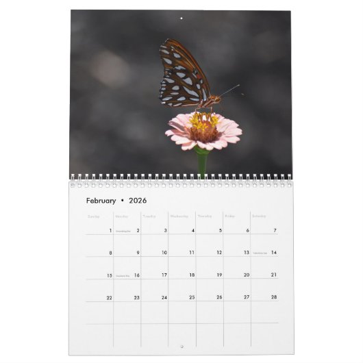 Butterfly 2026 kalender (Feb 2026)