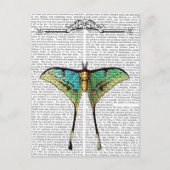 Butterfly 2 briefkaart (Voorkant)