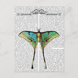 Butterfly 2 briefkaart