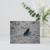 Butterfly 2 Briefkaart (Staand voorkant)